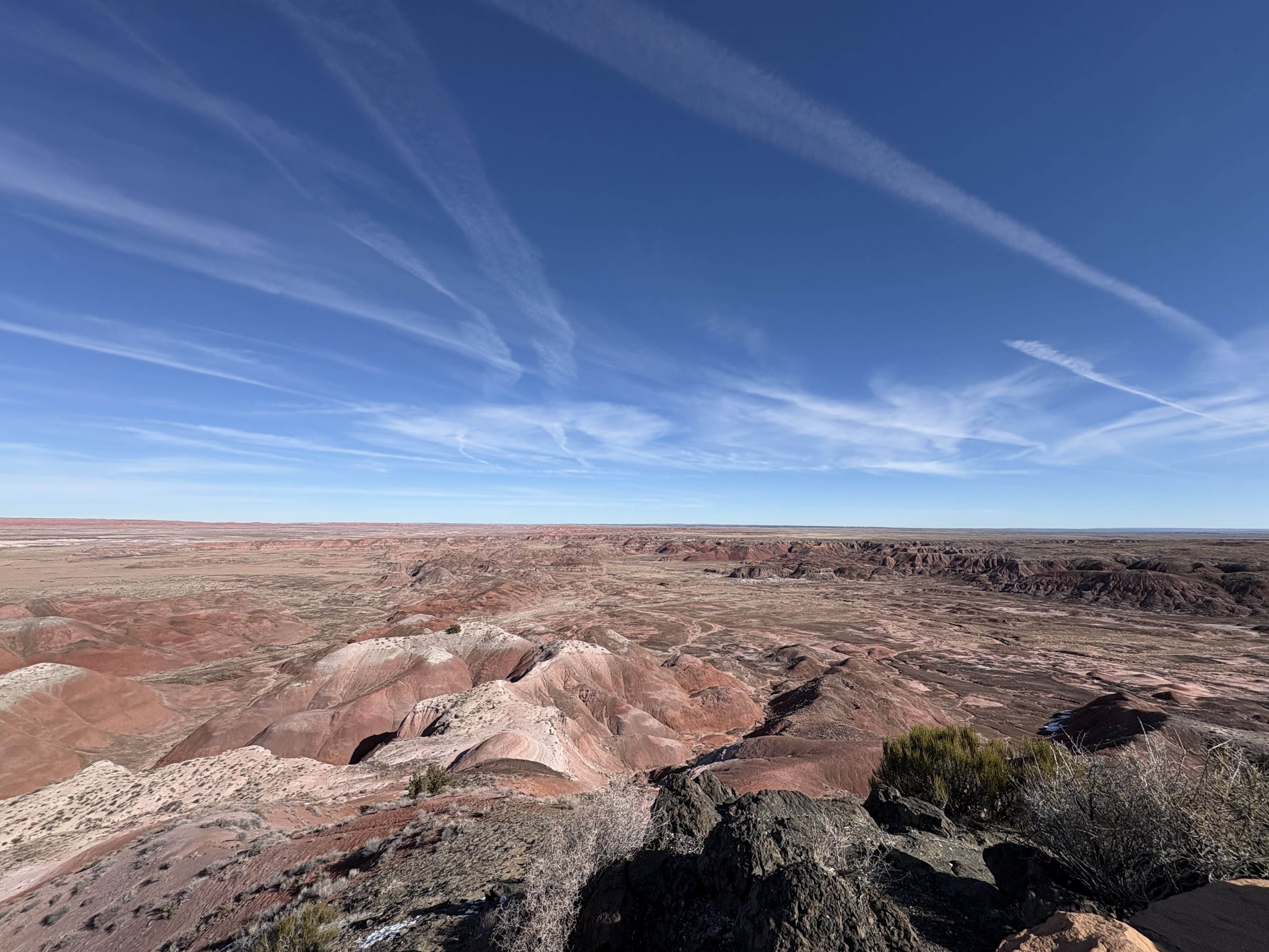 Petrified Forest landscape